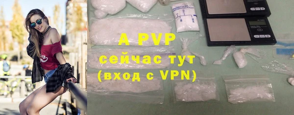 тгк Пересвет
