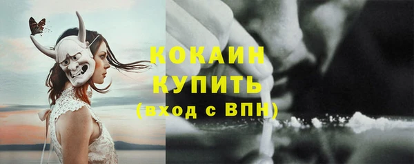 мяу мяу мука Пестово