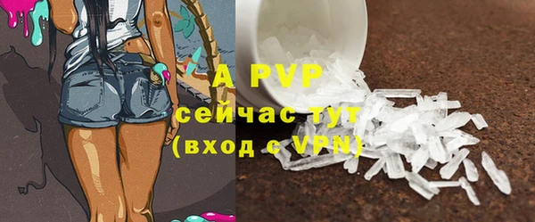 спиды Покачи