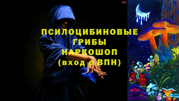 мяу мяу мука Пестово