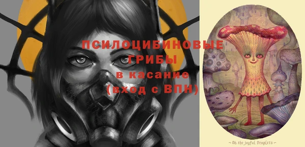 тгк Пересвет
