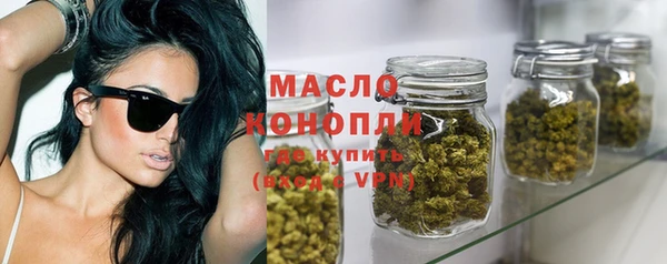 тгк Пересвет