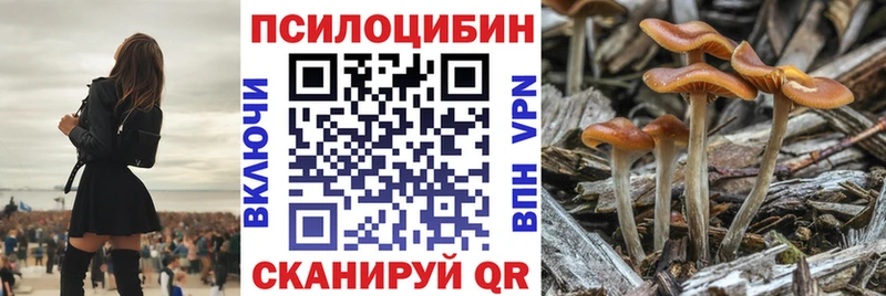 Псилоцибиновые грибы Magic Shrooms  Ялуторовск 