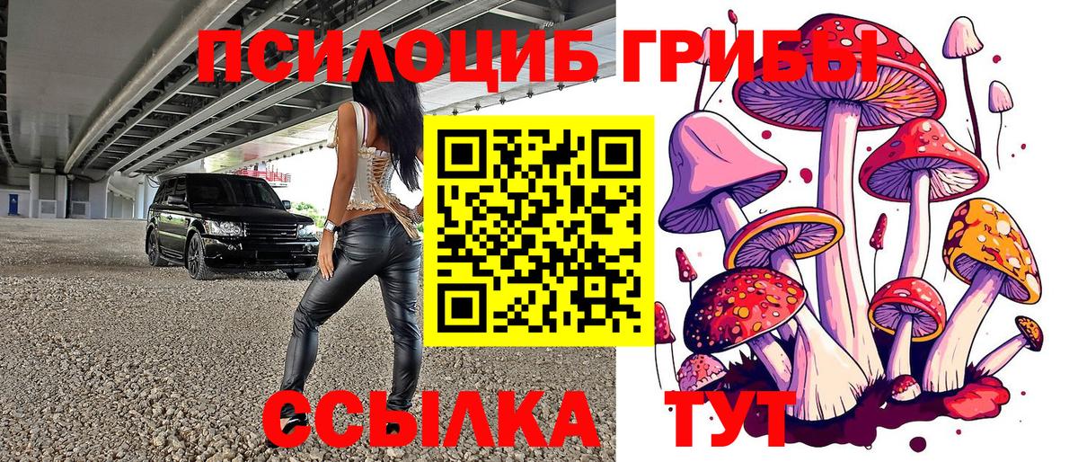 Псилоцибиновые грибы мицелий Ялуторовск