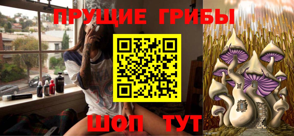 Галлюциногенные грибы MAGIC MUSHROOMS  Вход с VPN  Ялуторовск  Псилоцибиновые грибы Psilocybe 